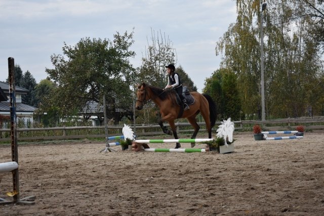 bABIE lATO 2018